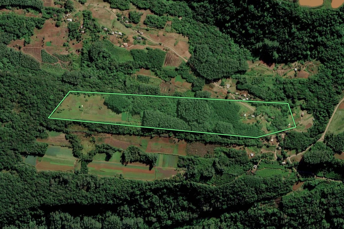 Imagem de satélite do imóvel rural em Feliz (RS), com o contorno declarado no CAR desenhado por cima.