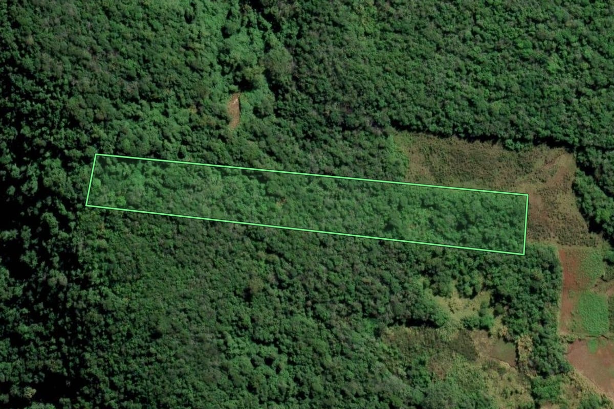 Imagem de satélite do imóvel rural em Feliz (RS), com o contorno declarado no CAR desenhado por cima.