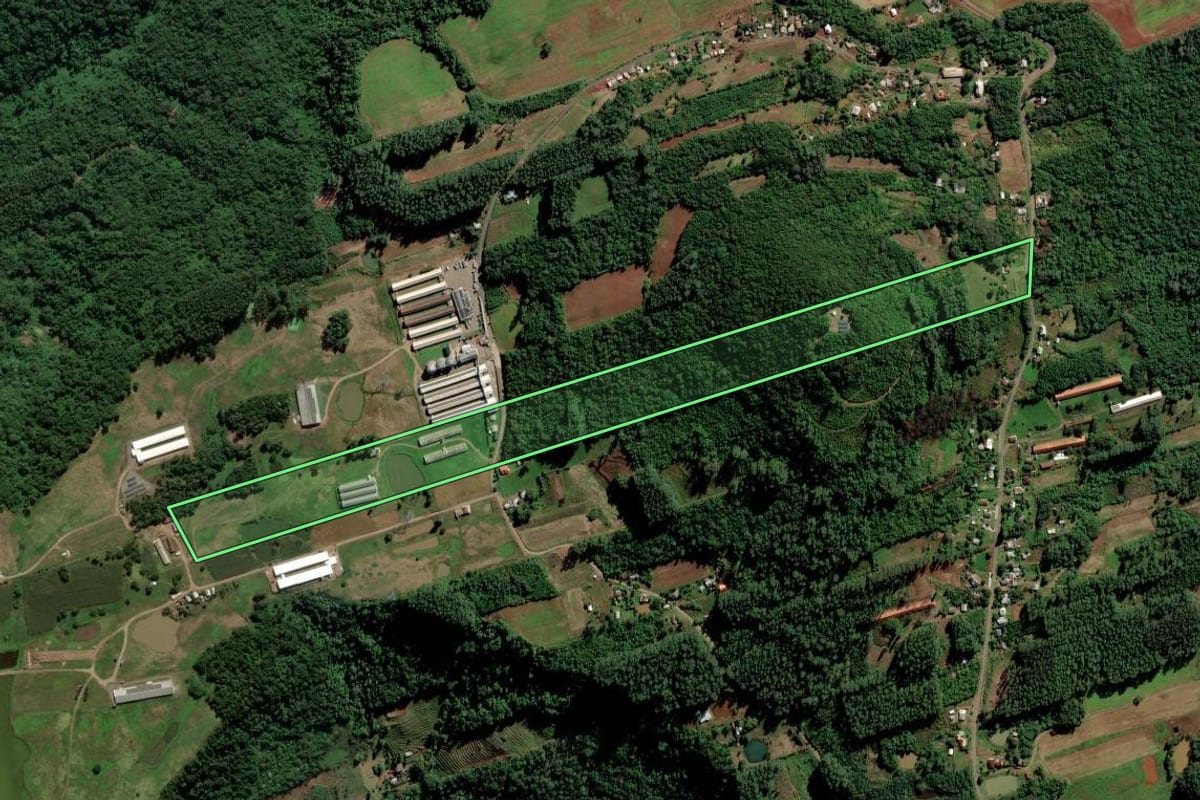 Imagem de satélite do imóvel rural em Feliz (RS), com o contorno declarado no CAR desenhado por cima.