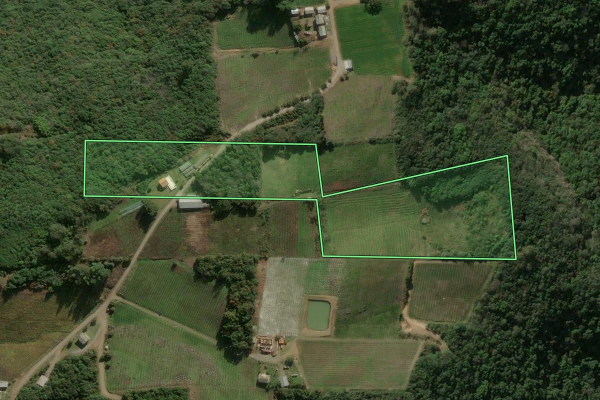 Imagem de satélite do imóvel rural em Flores da Cunha (RS), com o contorno declarado no CAR desenhado por cima.