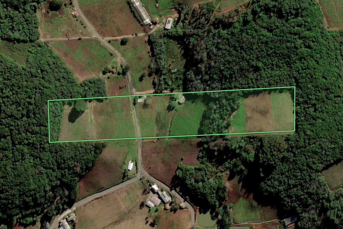 Imagem de satélite do imóvel rural em Flores da Cunha (RS), com o contorno declarado no CAR desenhado por cima.