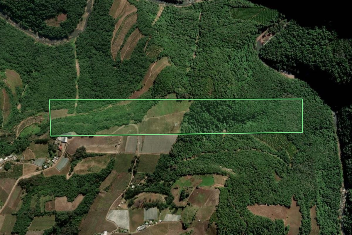 Imagem de satélite do imóvel rural em Flores da Cunha (RS), com o contorno declarado no CAR desenhado por cima.