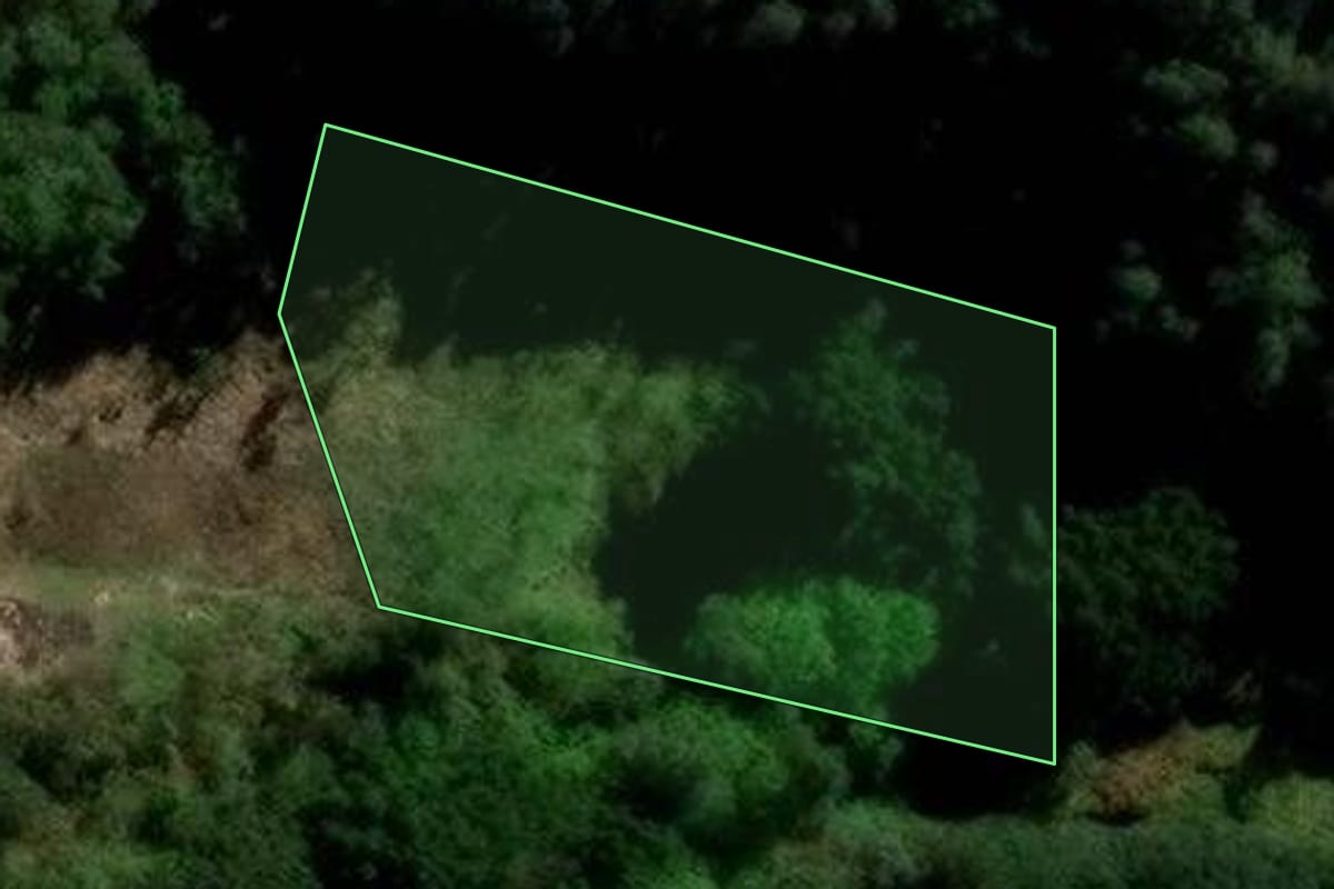 Imagem de satélite do imóvel rural em Flores da Cunha (RS), com o contorno declarado no CAR desenhado por cima.