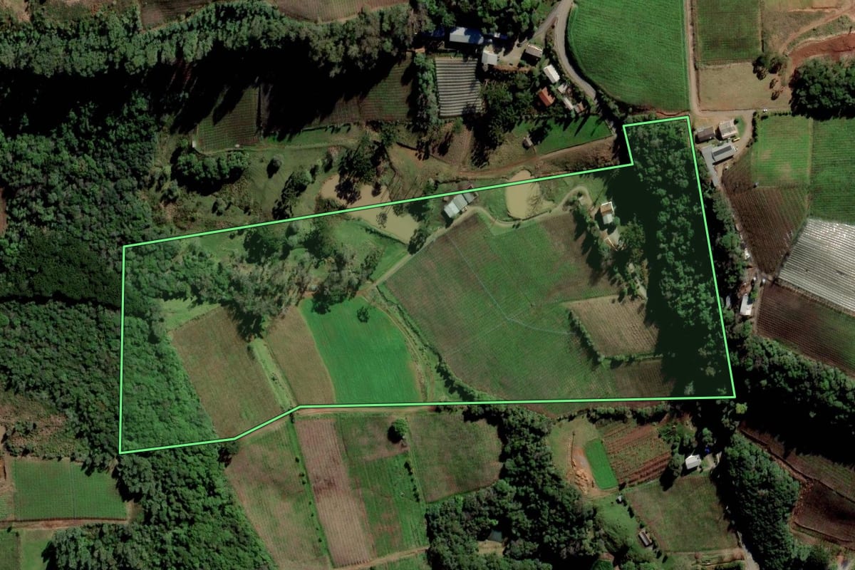 Imagem de satélite do imóvel rural em Flores da Cunha (RS), com o contorno declarado no CAR desenhado por cima.