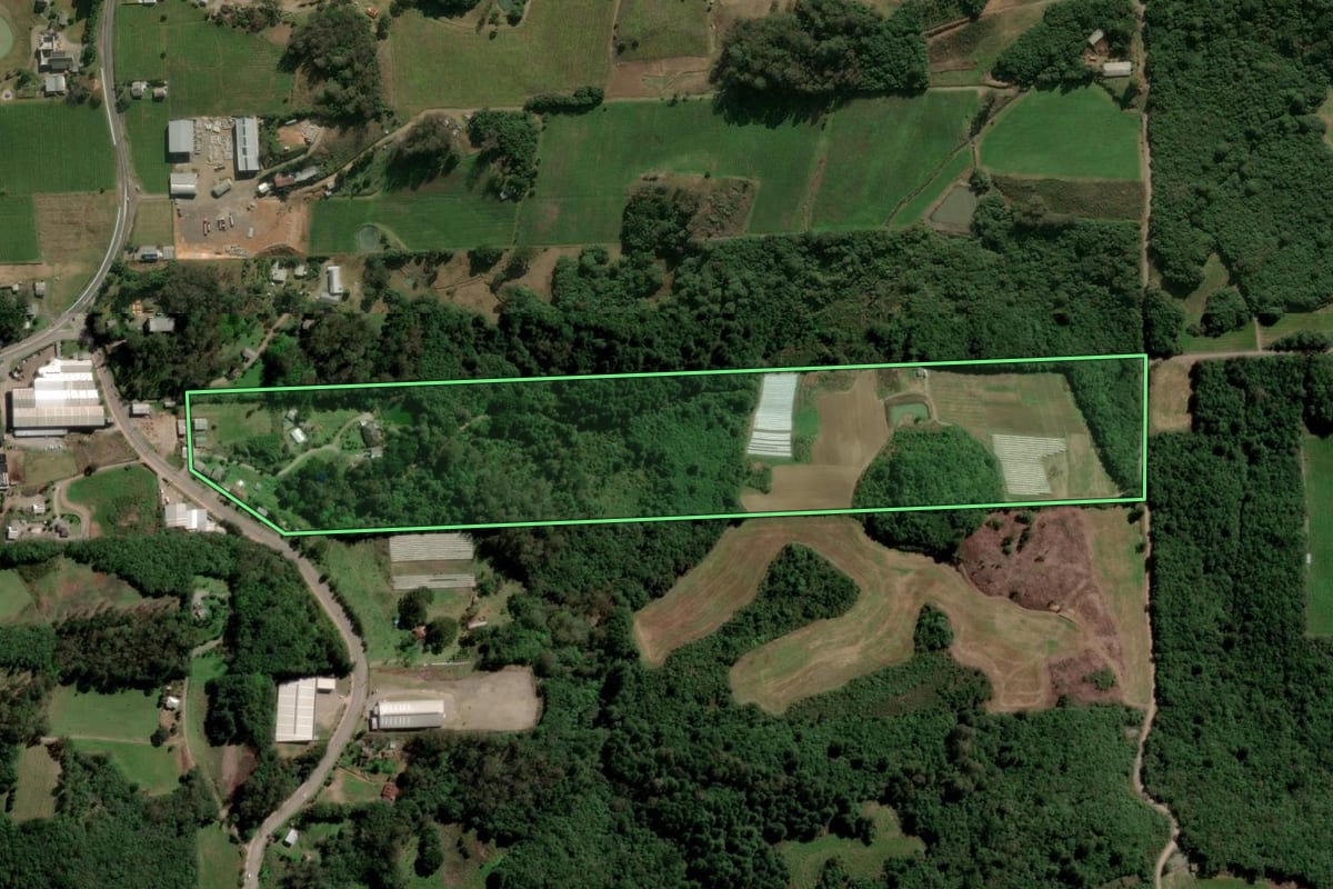 Imagem de satélite do imóvel rural em Flores da Cunha (RS), com o contorno declarado no CAR desenhado por cima.