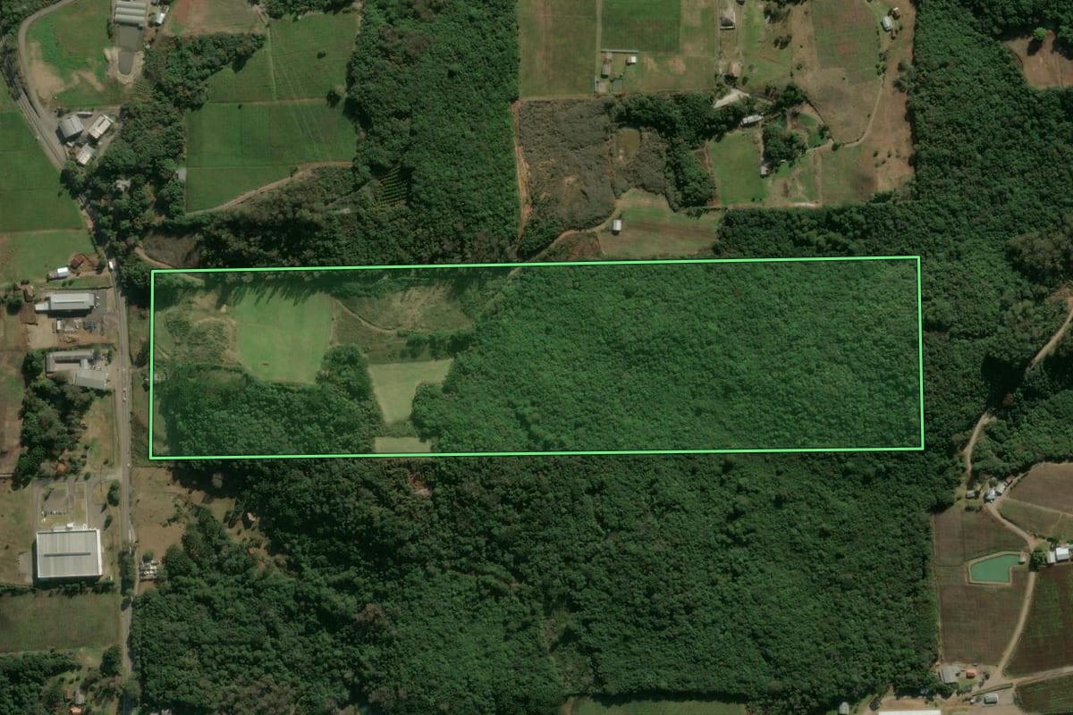 Imagem de satélite do imóvel rural em Flores da Cunha (RS), com o contorno declarado no CAR desenhado por cima.