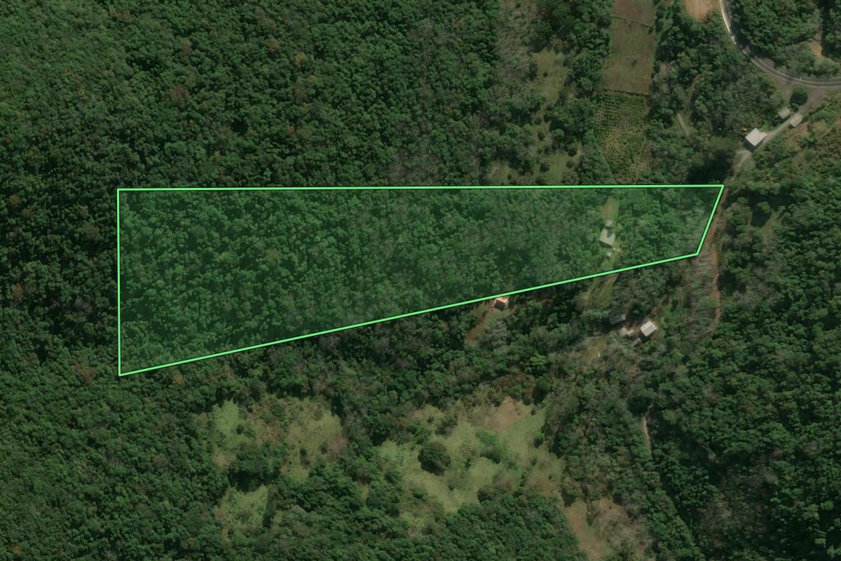 Imagem de satélite do imóvel rural em Flores da Cunha (RS), com o contorno declarado no CAR desenhado por cima.