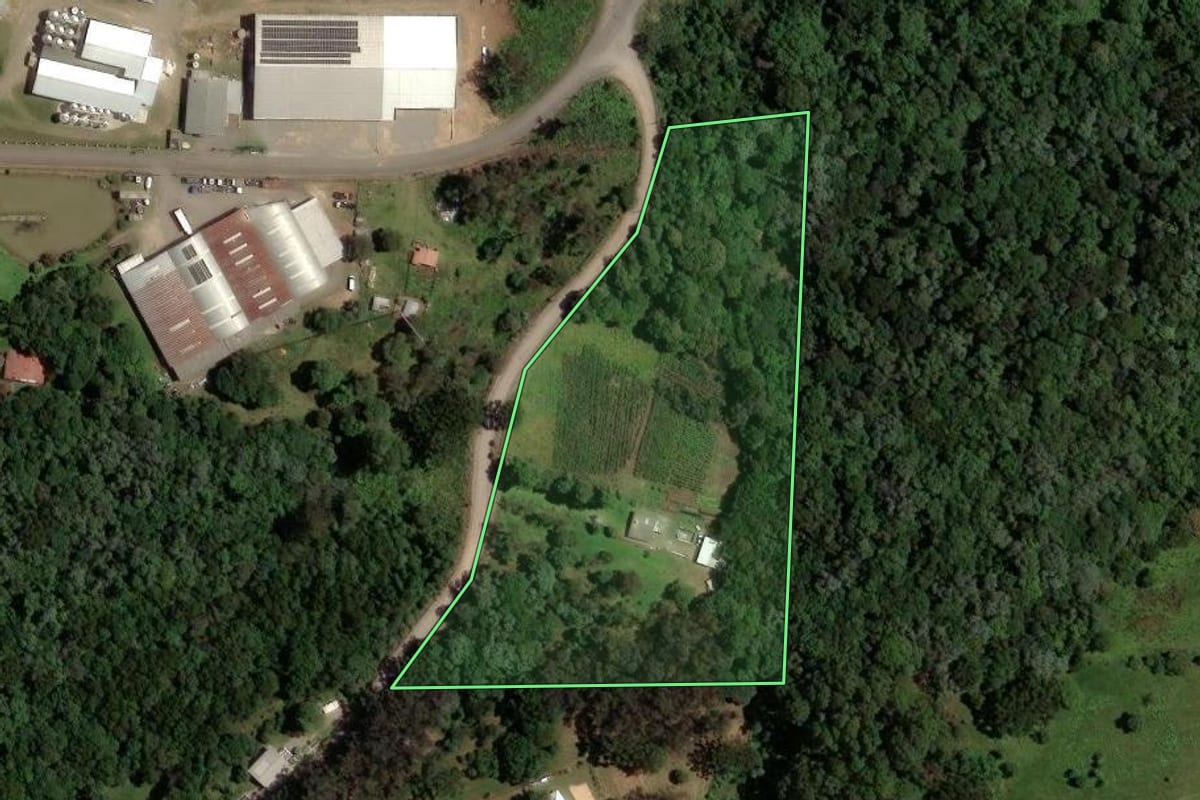 Imagem de satélite do imóvel rural em Flores da Cunha (RS), com o contorno declarado no CAR desenhado por cima.