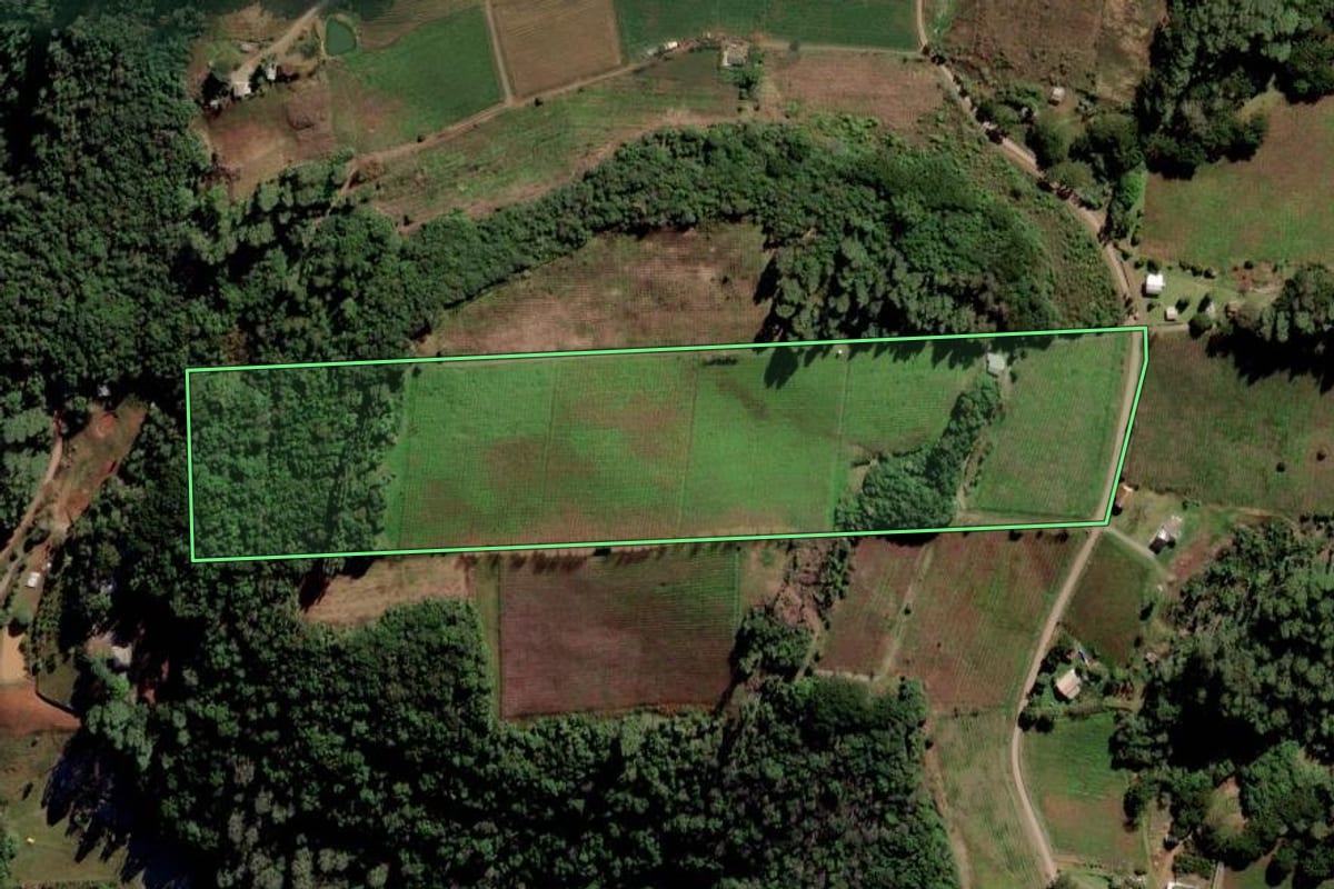 Imagem de satélite do imóvel rural em Flores da Cunha (RS), com o contorno declarado no CAR desenhado por cima.