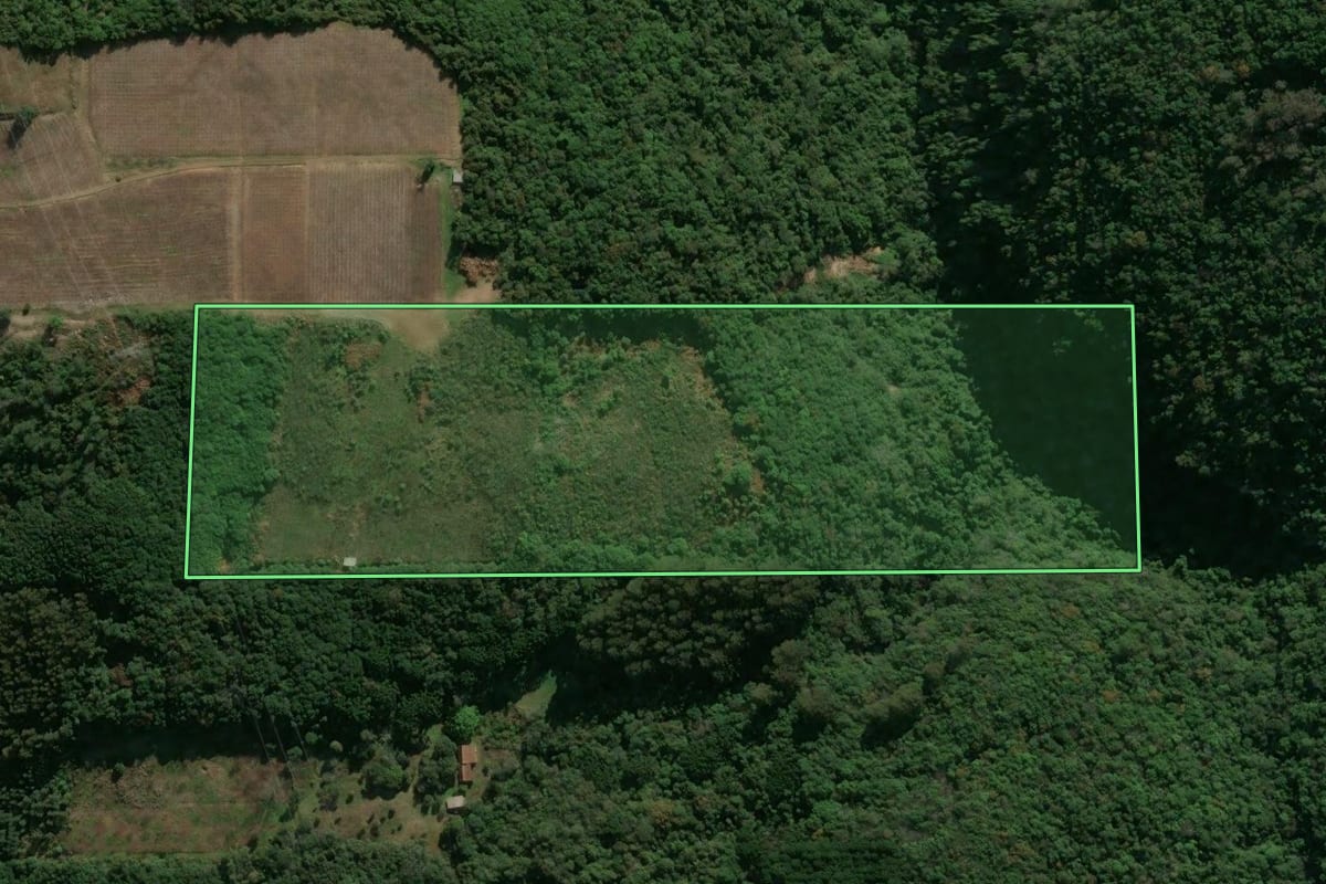 Imagem de satélite do imóvel rural em Flores da Cunha (RS), com o contorno declarado no CAR desenhado por cima.
