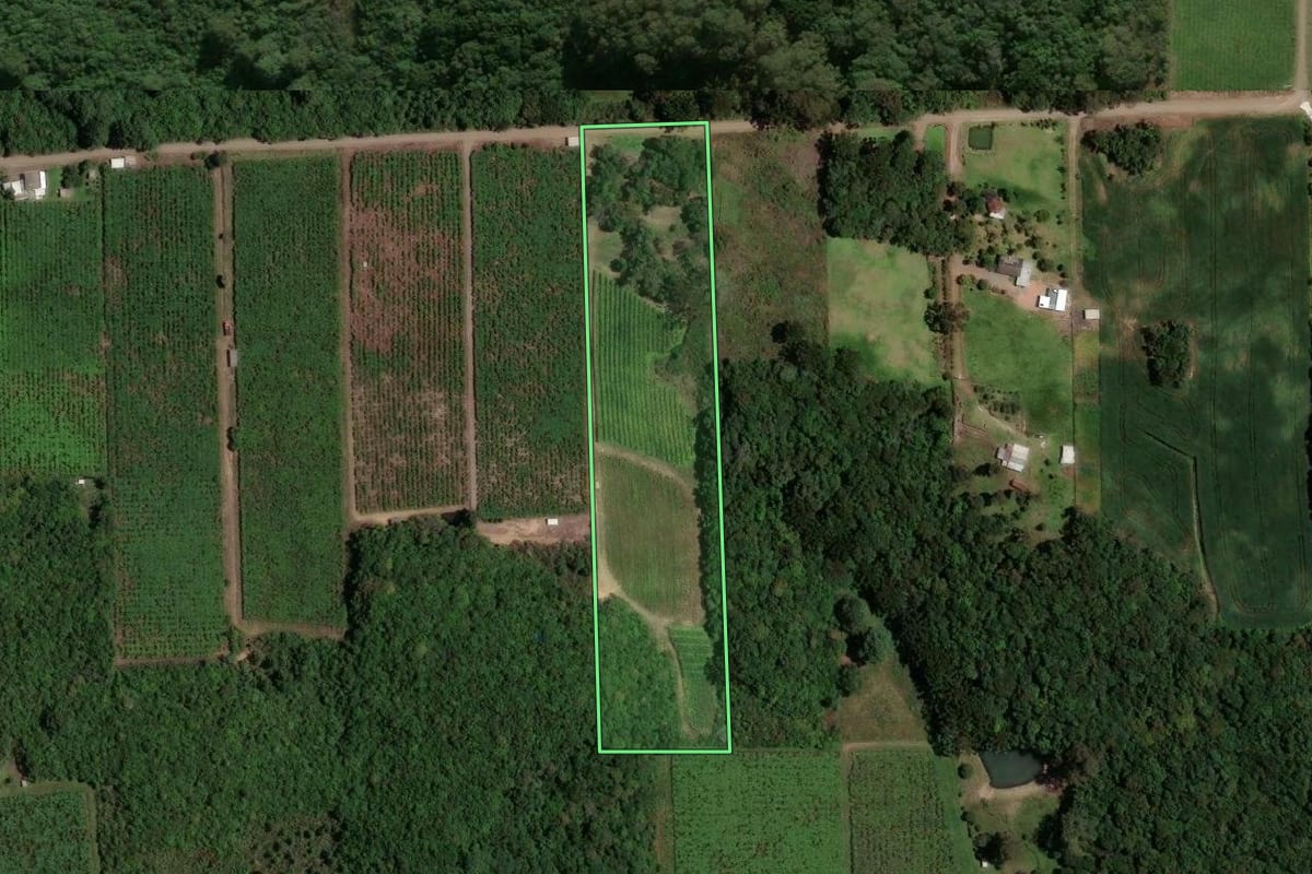Imagem de satélite do imóvel rural em Flores da Cunha (RS), com o contorno declarado no CAR desenhado por cima.