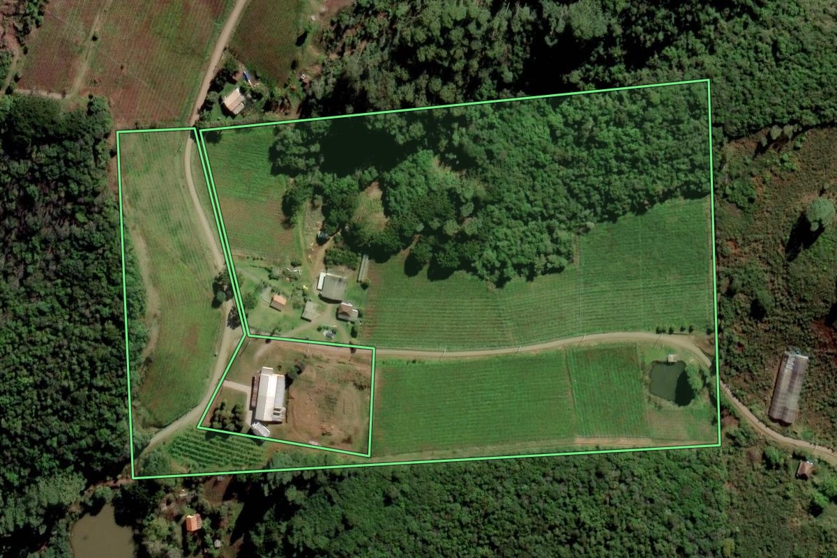 Imagem de satélite do imóvel rural em Flores da Cunha (RS), com o contorno declarado no CAR desenhado por cima.