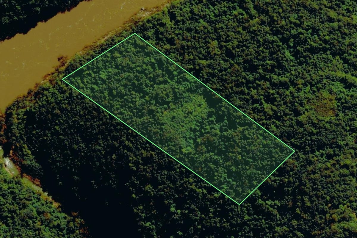 Imagem de satélite do imóvel rural em Flores da Cunha (RS), com o contorno declarado no CAR desenhado por cima.
