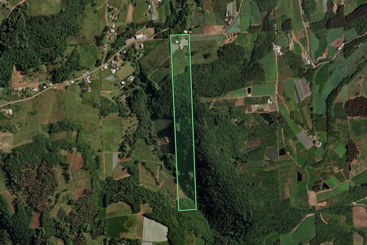 Imagem de satélite do imóvel rural em Flores da Cunha (RS), com o contorno declarado no CAR desenhado por cima.