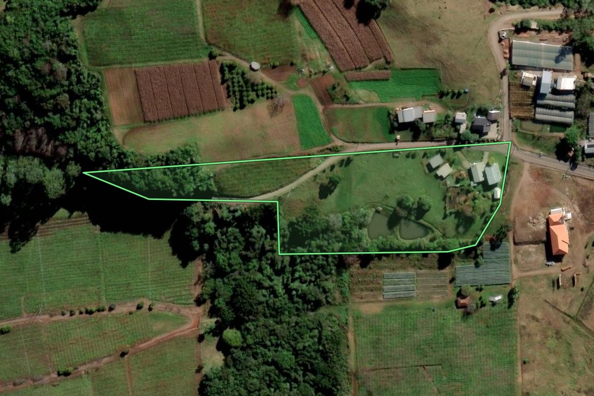 Imagem de satélite do imóvel rural em Flores da Cunha (RS), com o contorno declarado no CAR desenhado por cima.