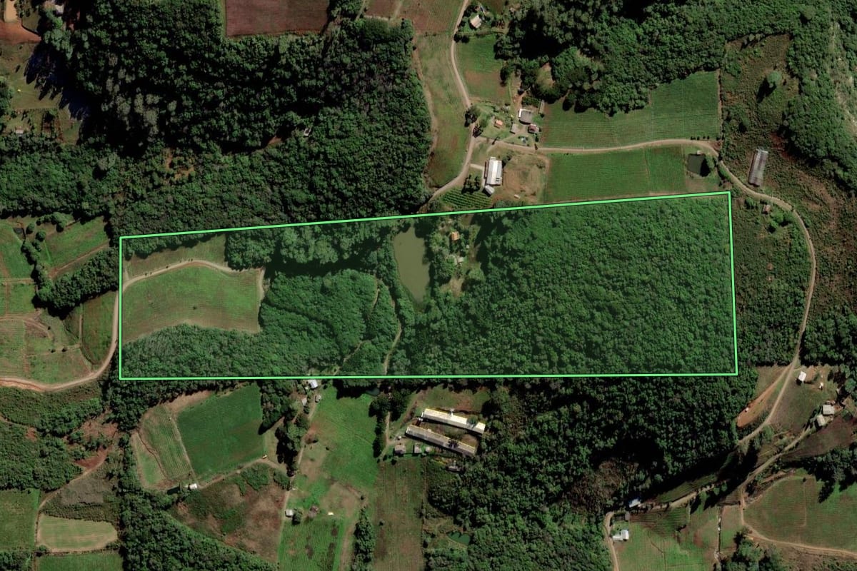 Imagem de satélite do imóvel rural em Flores da Cunha (RS), com o contorno declarado no CAR desenhado por cima.