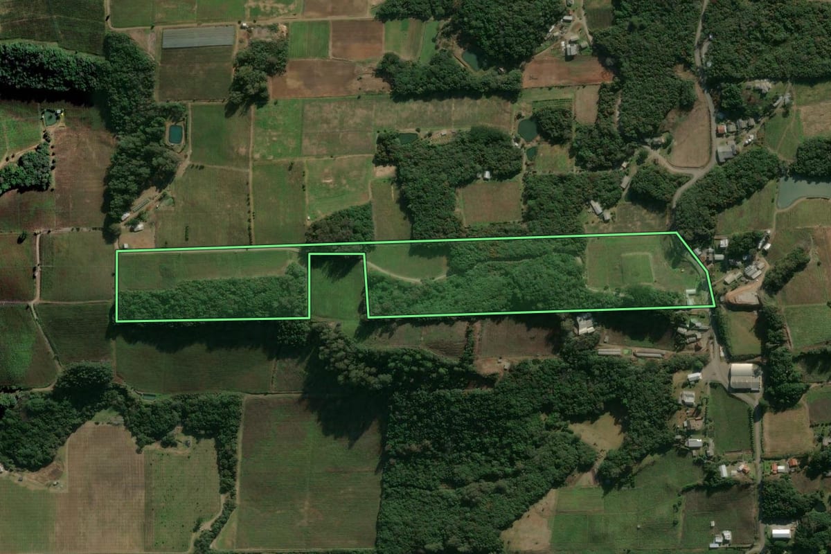 Imagem de satélite do imóvel rural em Flores da Cunha (RS), com o contorno declarado no CAR desenhado por cima.