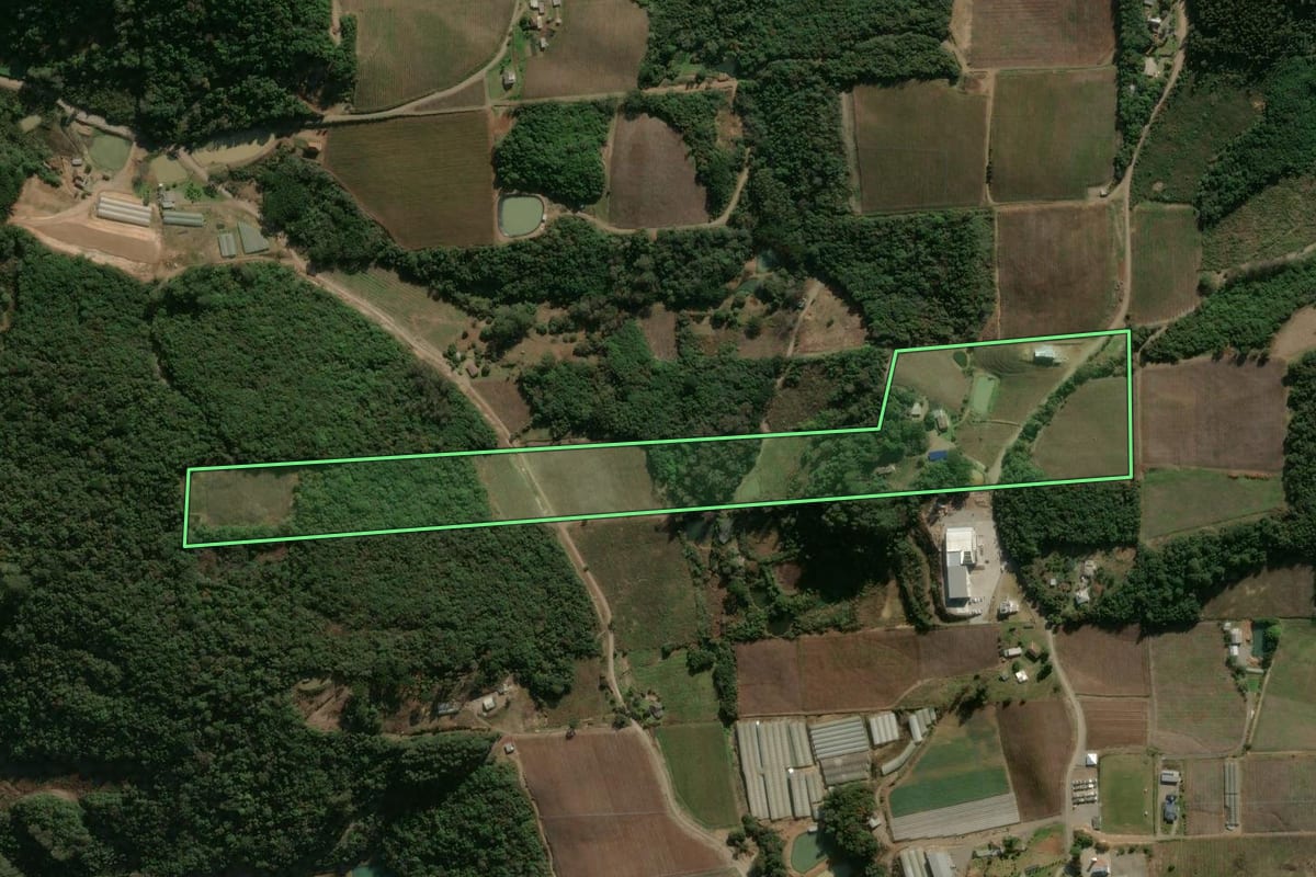Imagem de satélite do imóvel rural em Flores da Cunha (RS), com o contorno declarado no CAR desenhado por cima.