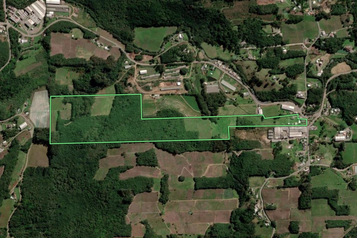 Imagem de satélite do imóvel rural em Flores da Cunha (RS), com o contorno declarado no CAR desenhado por cima.