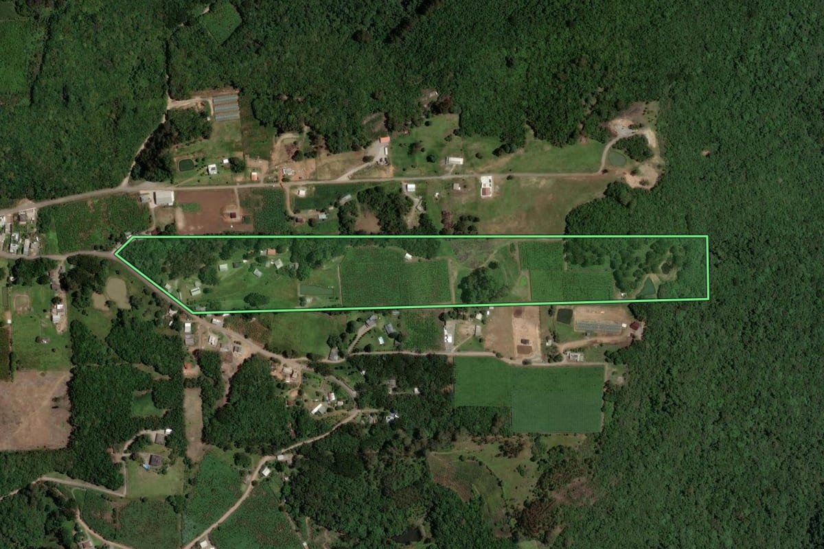 Imagem de satélite do imóvel rural em Flores da Cunha (RS), com o contorno declarado no CAR desenhado por cima.