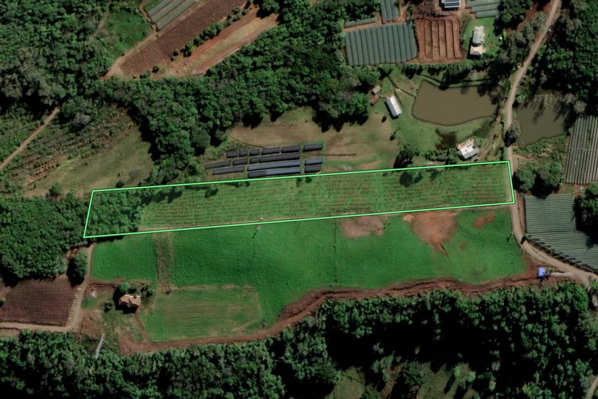 Imagem de satélite do imóvel rural em Flores da Cunha (RS), com o contorno declarado no CAR desenhado por cima.