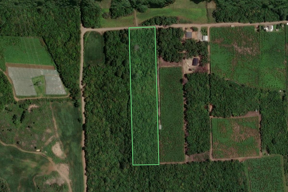 Imagem de satélite do imóvel rural em Flores da Cunha (RS), com o contorno declarado no CAR desenhado por cima.
