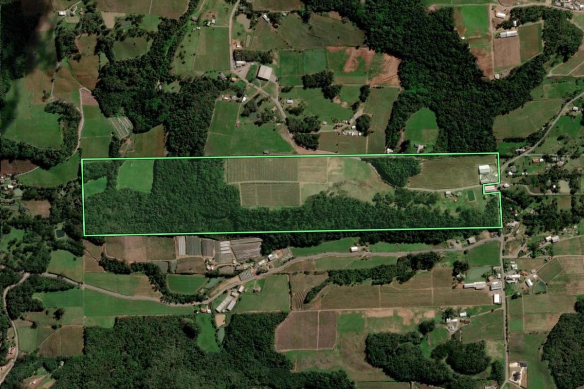 Imagem de satélite do imóvel rural em Flores da Cunha (RS), com o contorno declarado no CAR desenhado por cima.