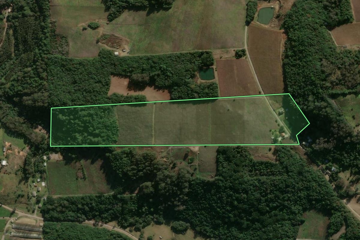 Imagem de satélite do imóvel rural em Flores da Cunha (RS), com o contorno declarado no CAR desenhado por cima.