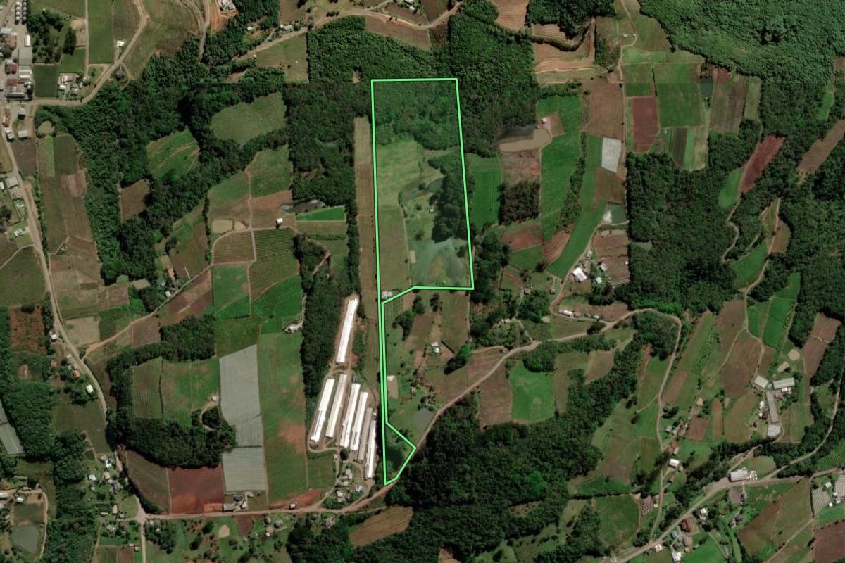 Imagem de satélite do imóvel rural em Flores da Cunha (RS), com o contorno declarado no CAR desenhado por cima.