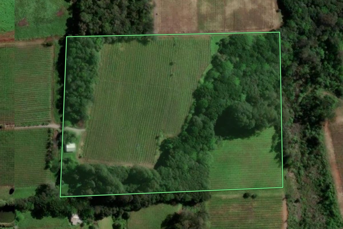 Imagem de satélite do imóvel rural em Flores da Cunha (RS), com o contorno declarado no CAR desenhado por cima.