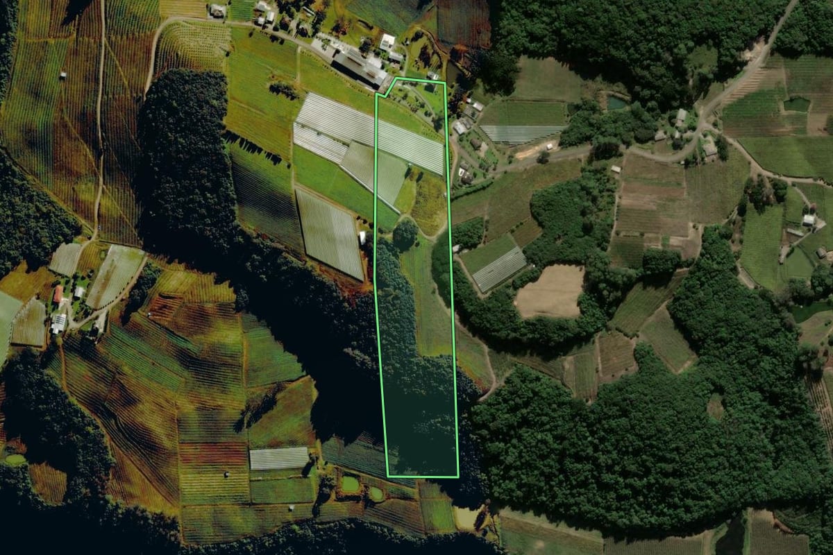 Imagem de satélite do imóvel rural em Flores da Cunha (RS), com o contorno declarado no CAR desenhado por cima.