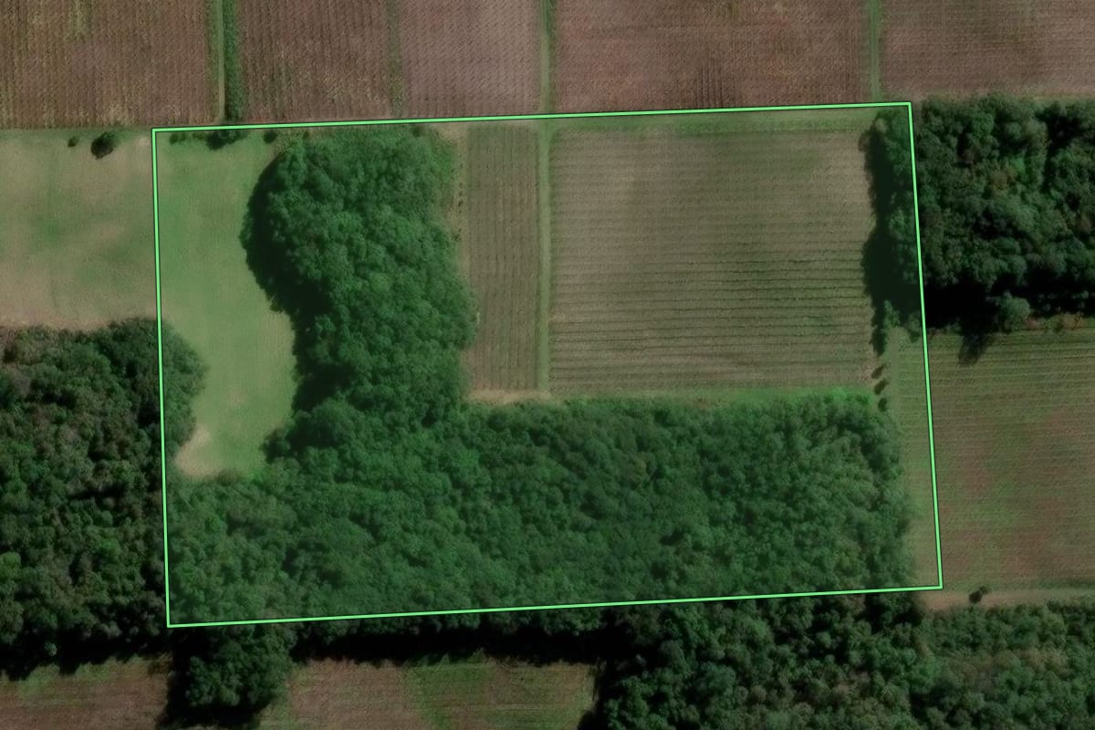 Imagem de satélite do imóvel rural em Flores da Cunha (RS), com o contorno declarado no CAR desenhado por cima.