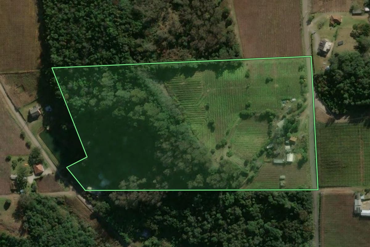 Imagem de satélite do imóvel rural em Flores da Cunha (RS), com o contorno declarado no CAR desenhado por cima.