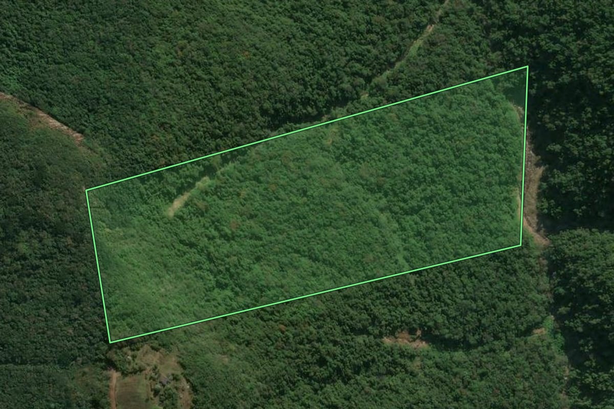 Imagem de satélite do imóvel rural em Flores da Cunha (RS), com o contorno declarado no CAR desenhado por cima.