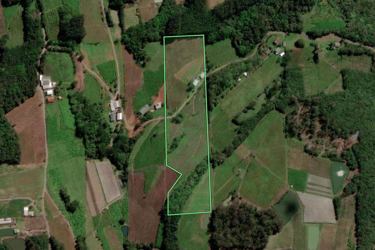 Imagem de satélite do imóvel rural em Flores da Cunha (RS), com o contorno declarado no CAR desenhado por cima.
