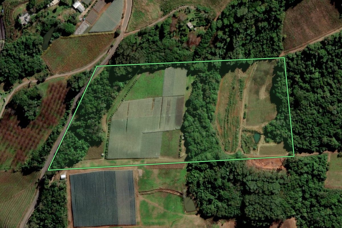 Imagem de satélite do imóvel rural em Flores da Cunha (RS), com o contorno declarado no CAR desenhado por cima.