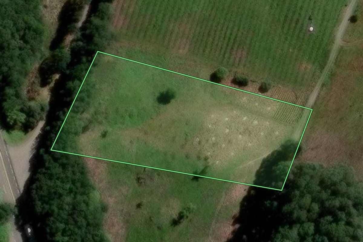Imagem de satélite do imóvel rural em Flores da Cunha (RS), com o contorno declarado no CAR desenhado por cima.