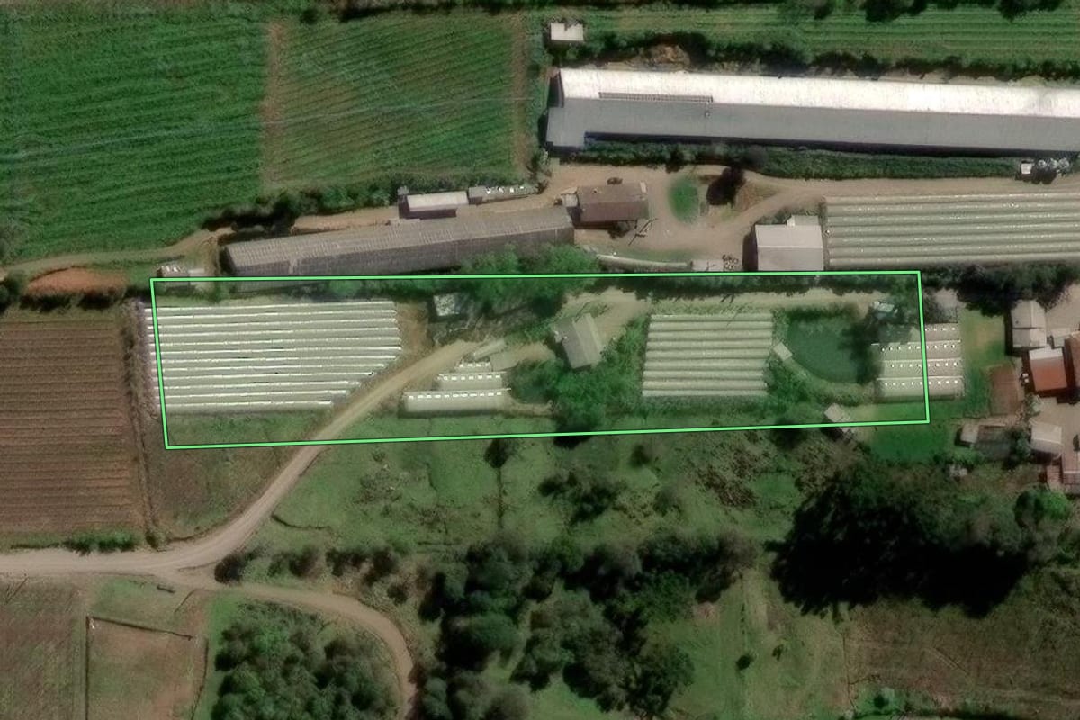 Imagem de satélite do imóvel rural em Flores da Cunha (RS), com o contorno declarado no CAR desenhado por cima.
