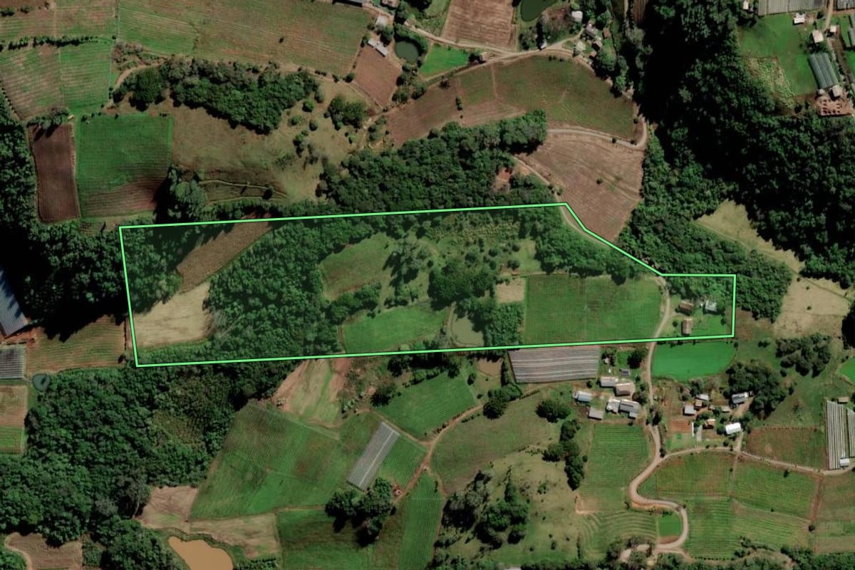 Imagem de satélite do imóvel rural em Flores da Cunha (RS), com o contorno declarado no CAR desenhado por cima.