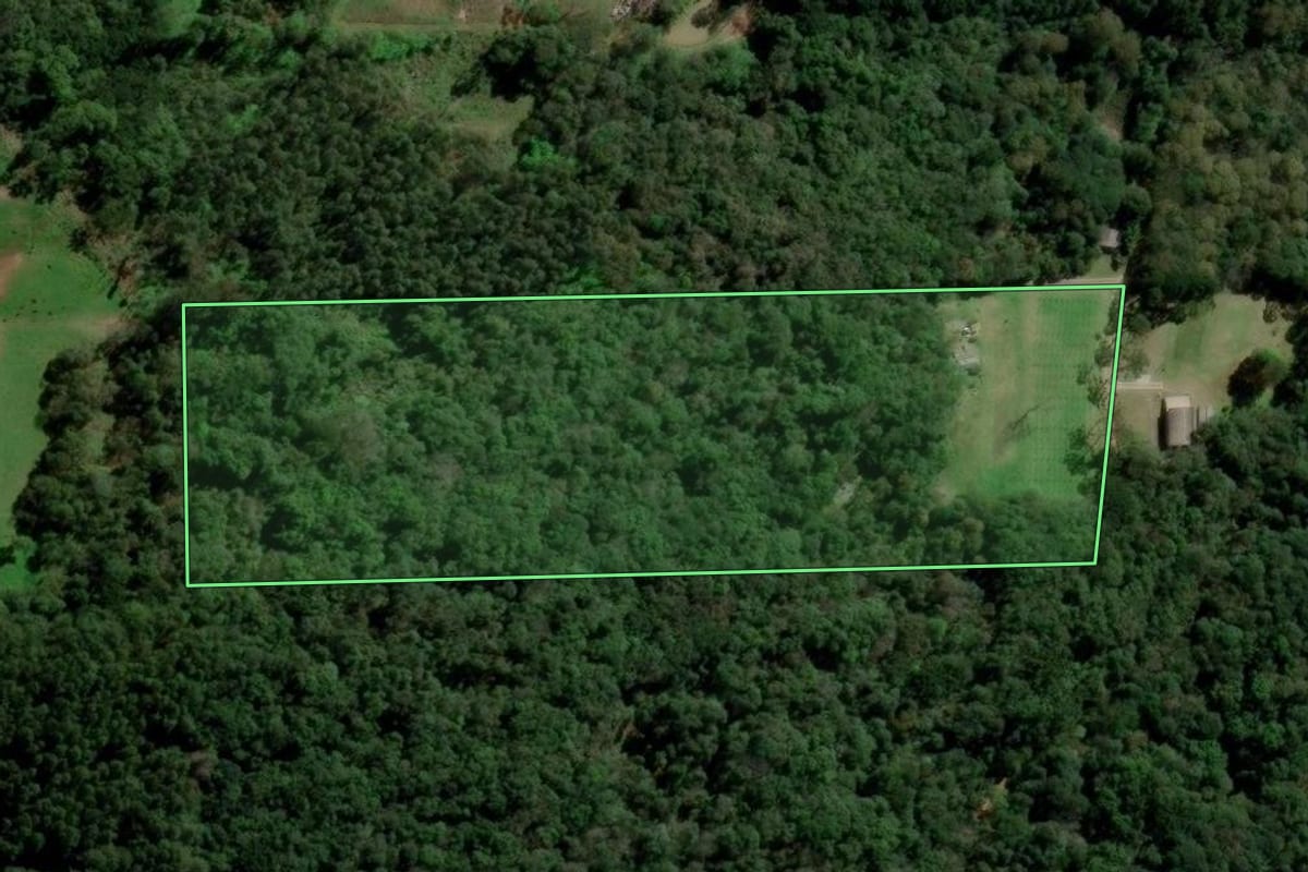 Imagem de satélite do imóvel rural em Flores da Cunha (RS), com o contorno declarado no CAR desenhado por cima.