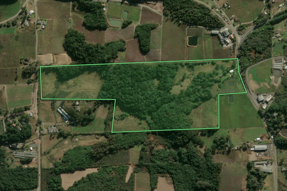 Imagem de satélite do imóvel rural em Flores da Cunha (RS), com o contorno declarado no CAR desenhado por cima.