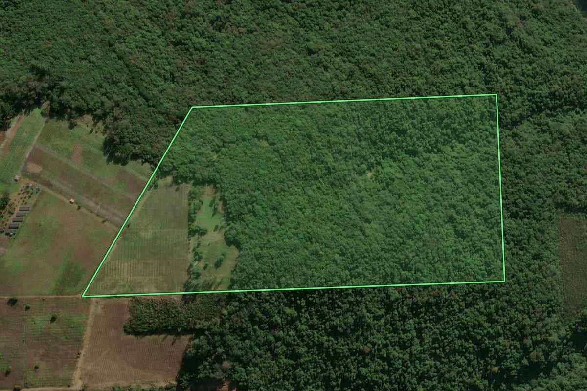 Imagem de satélite do imóvel rural em Flores da Cunha (RS), com o contorno declarado no CAR desenhado por cima.