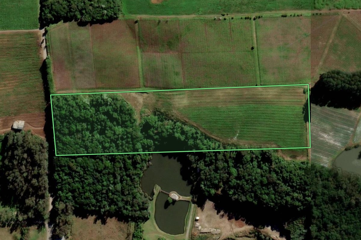 Imagem de satélite do imóvel rural em Flores da Cunha (RS), com o contorno declarado no CAR desenhado por cima.