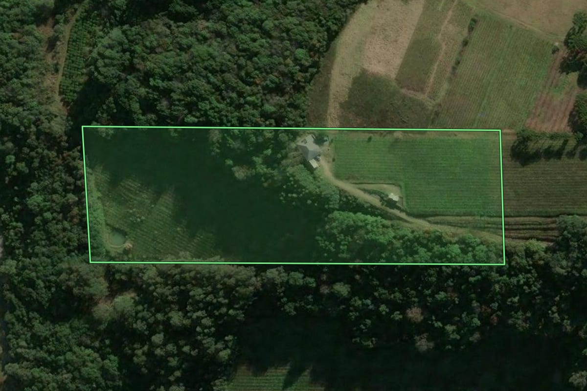 Imagem de satélite do imóvel rural em Flores da Cunha (RS), com o contorno declarado no CAR desenhado por cima.