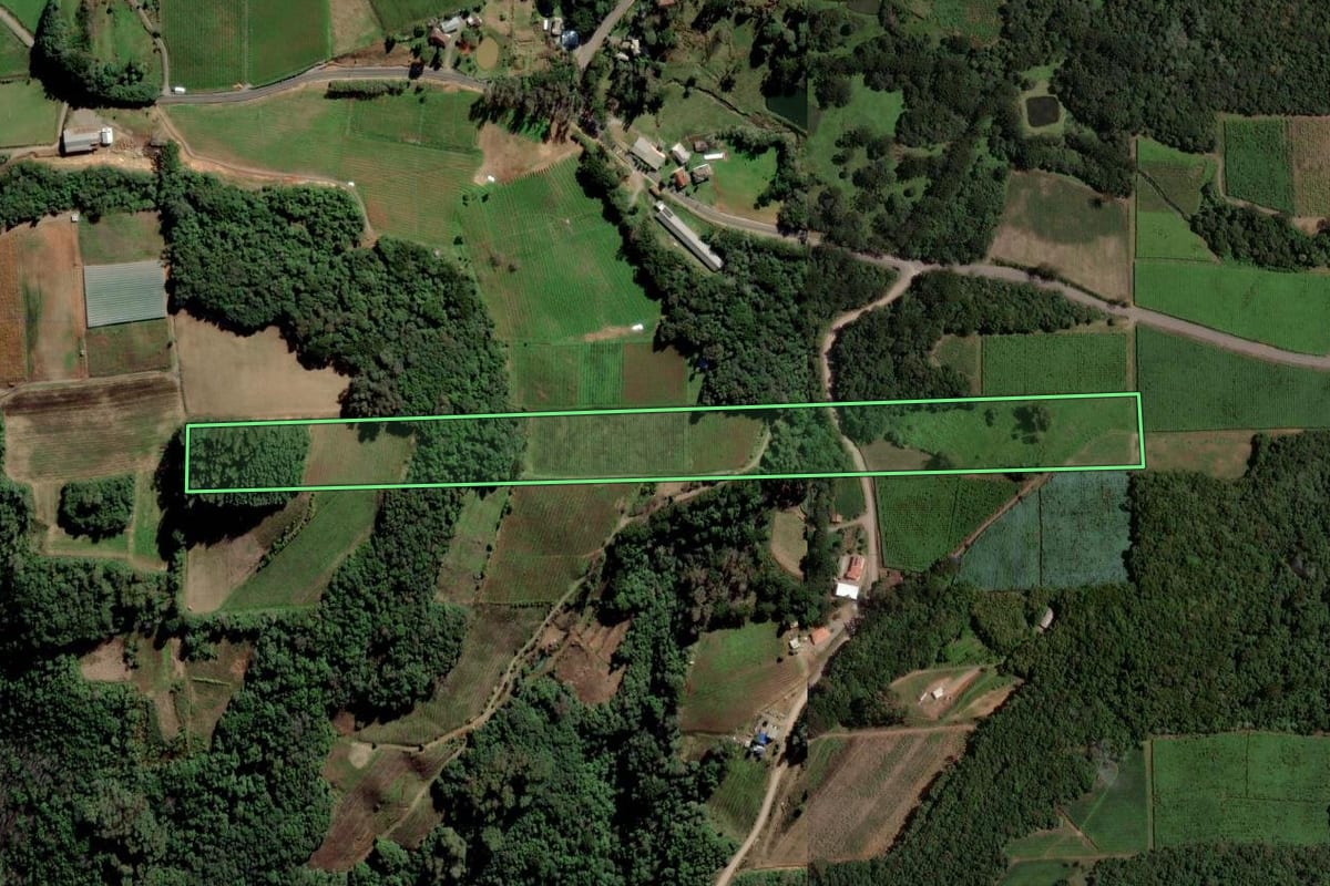 Imagem de satélite do imóvel rural em Flores da Cunha (RS), com o contorno declarado no CAR desenhado por cima.