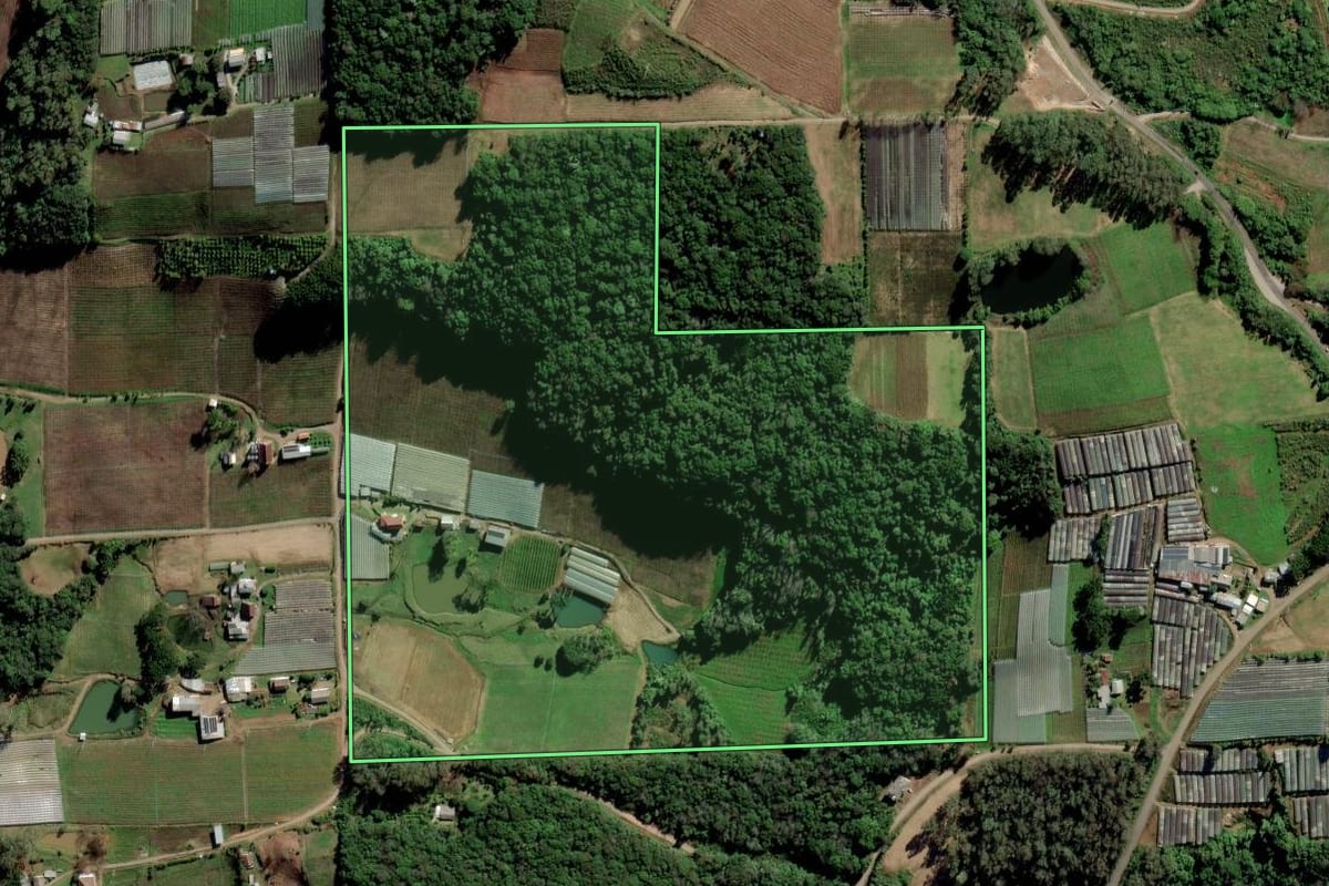 Imagem de satélite do imóvel rural em Flores da Cunha (RS), com o contorno declarado no CAR desenhado por cima.