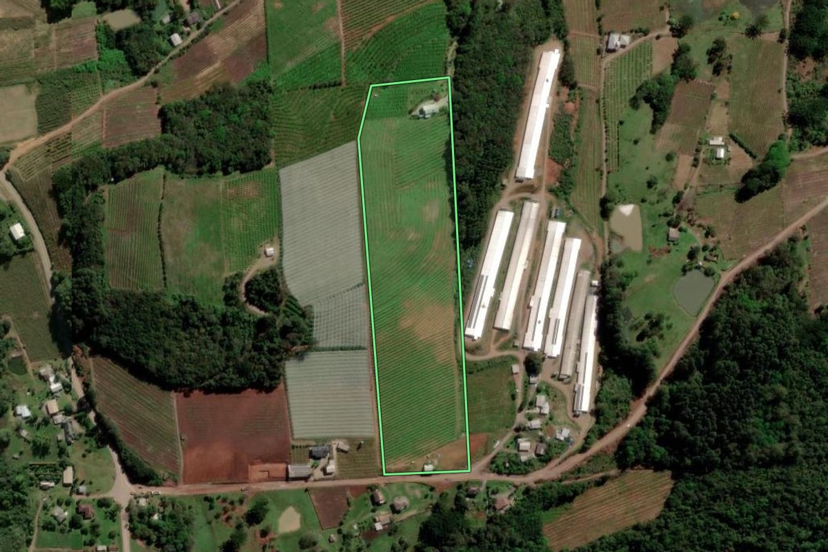 Imagem de satélite do imóvel rural em Flores da Cunha (RS), com o contorno declarado no CAR desenhado por cima.