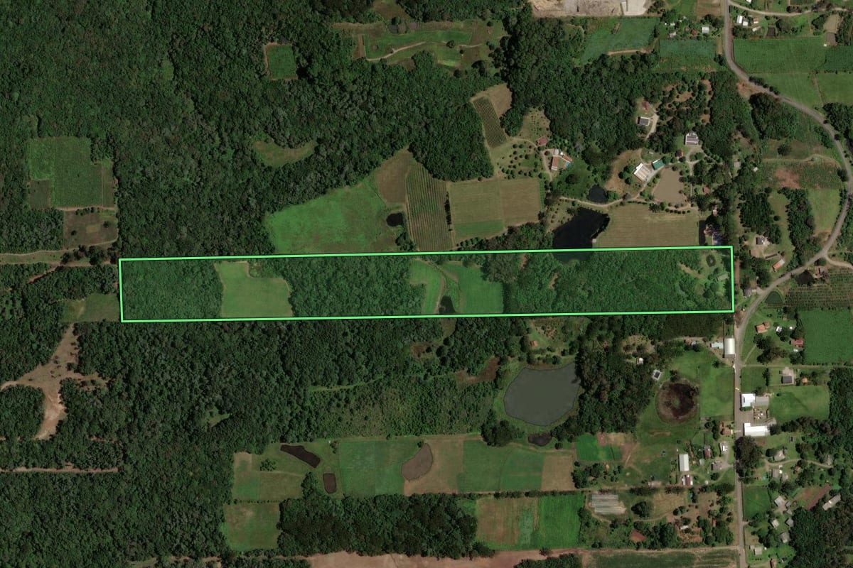 Imagem de satélite do imóvel rural em Flores da Cunha (RS), com o contorno declarado no CAR desenhado por cima.