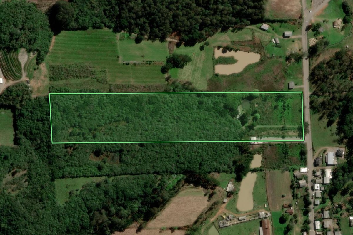 Imagem de satélite do imóvel rural em Flores da Cunha (RS), com o contorno declarado no CAR desenhado por cima.