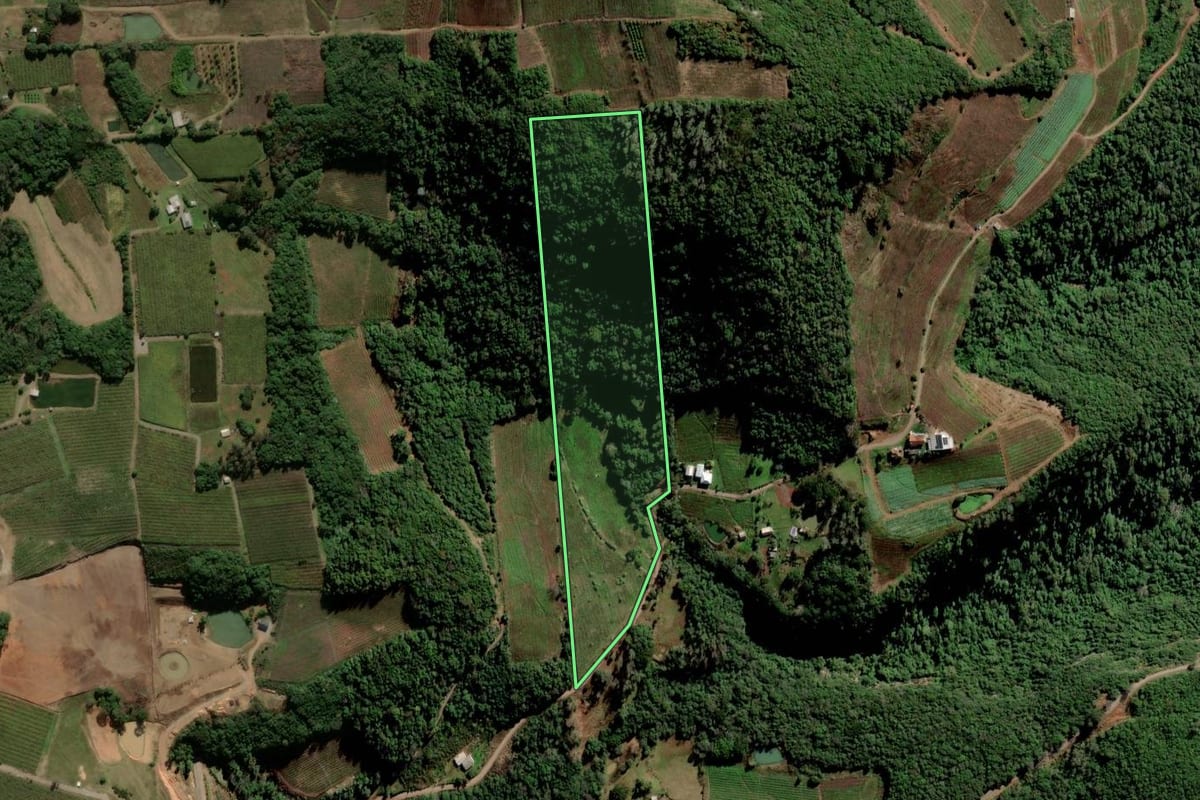 Imagem de satélite do imóvel rural em Flores da Cunha (RS), com o contorno declarado no CAR desenhado por cima.